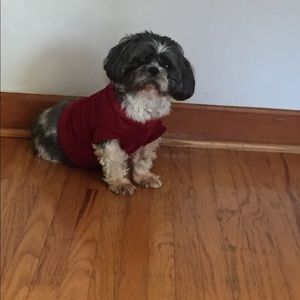 Meet your Posher, Barbara